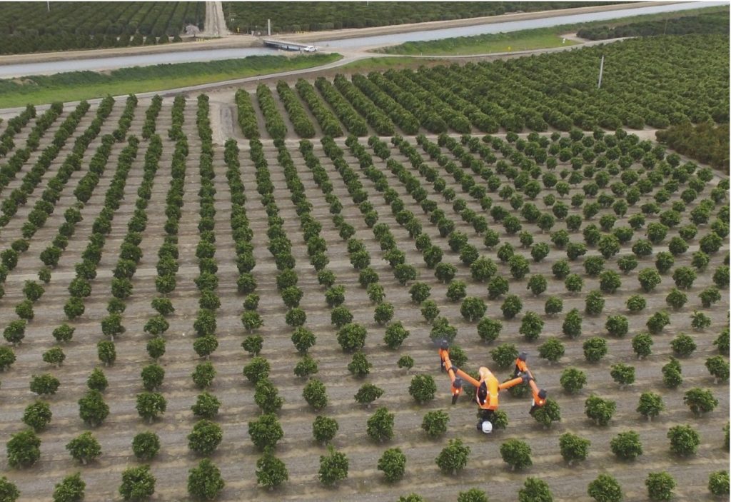 drones en agricultura viñedo
