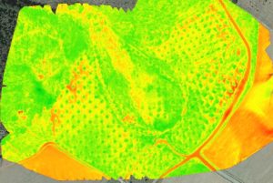 imagen-ndvi